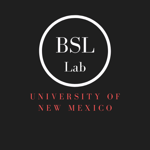 BSL logo